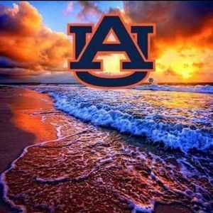 Meet your Posher, Connie